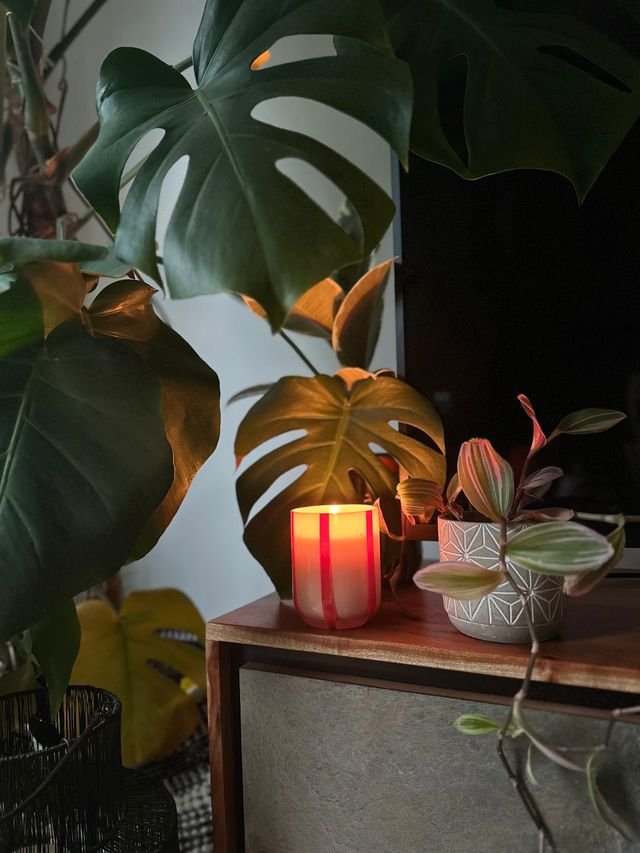 Atina Candle - Orange Blossom & Basil