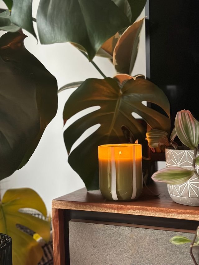 Atina Candle - Fresh Olive & Lemon