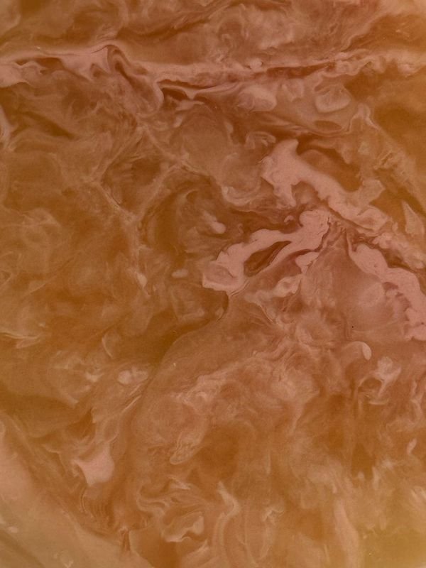 Coaster - Coral